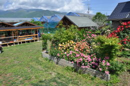 farm