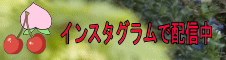 インスタグラム