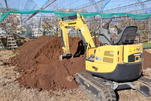 mulch