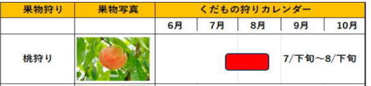 fruit calendar