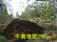 compost
