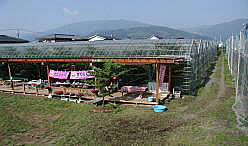 farm